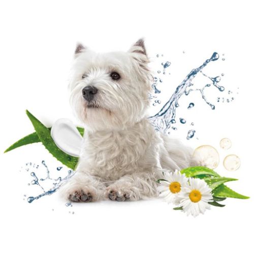 Beaphar Pet Wipes for dogs and cats Beaphar